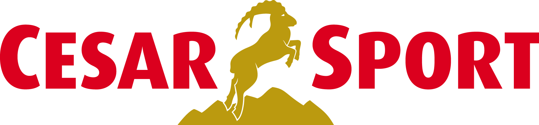 Cesar Sport logo