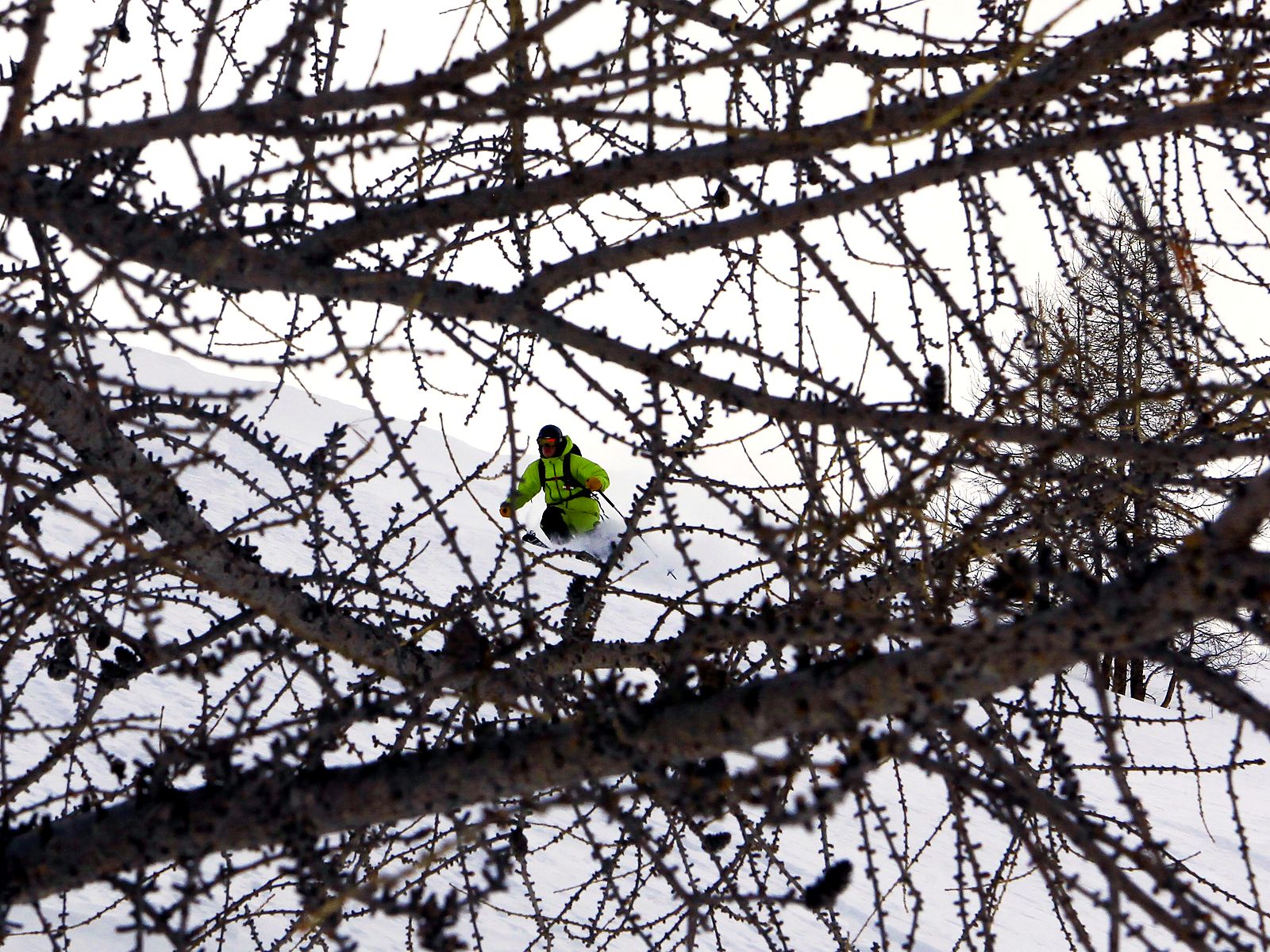 Tree skiing in fresh powder at Plattjen, Saas-Fee