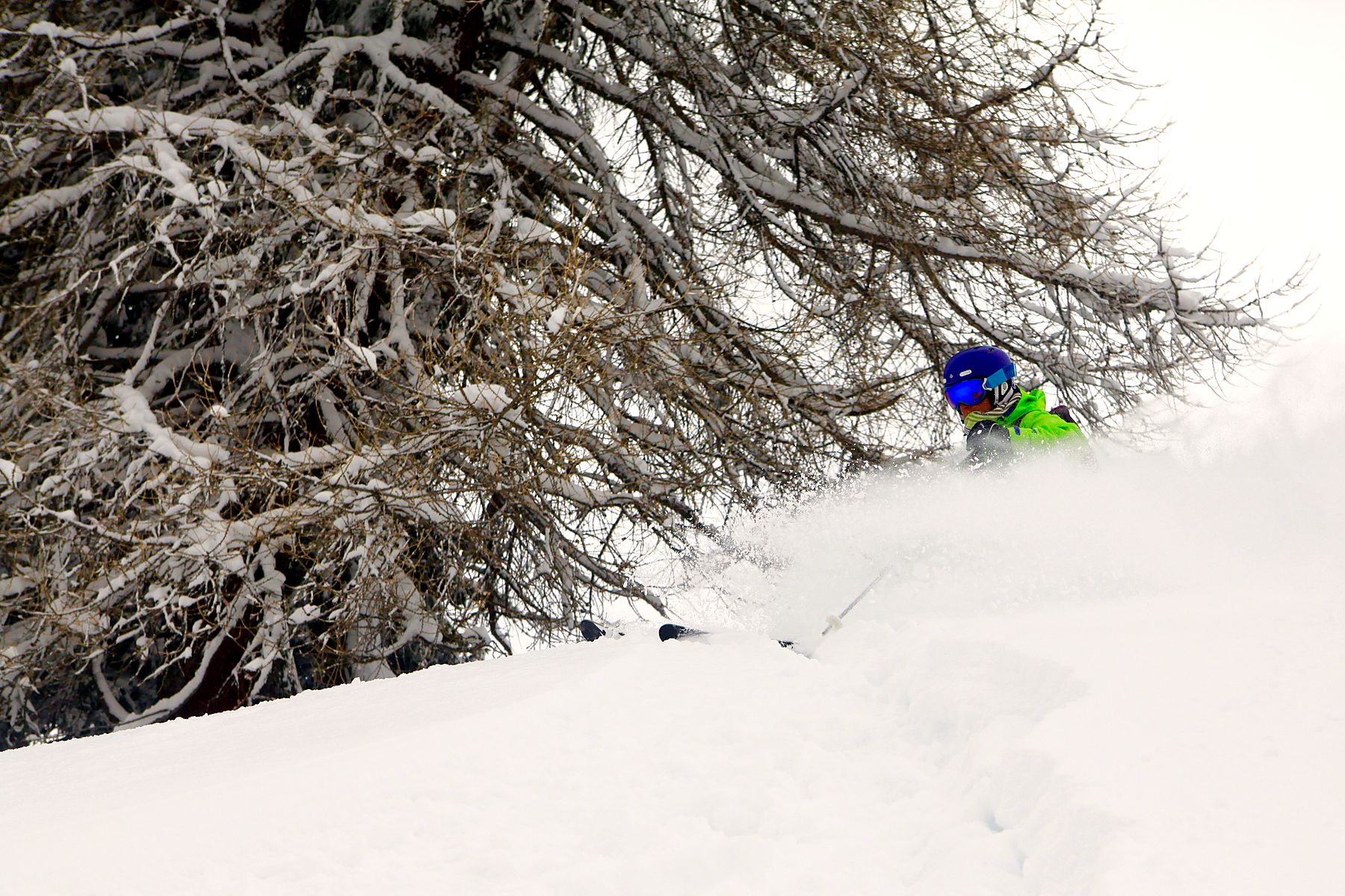 Le Beau Ski guide Paloma skiing powder between the trees in Grimentz-Zinal