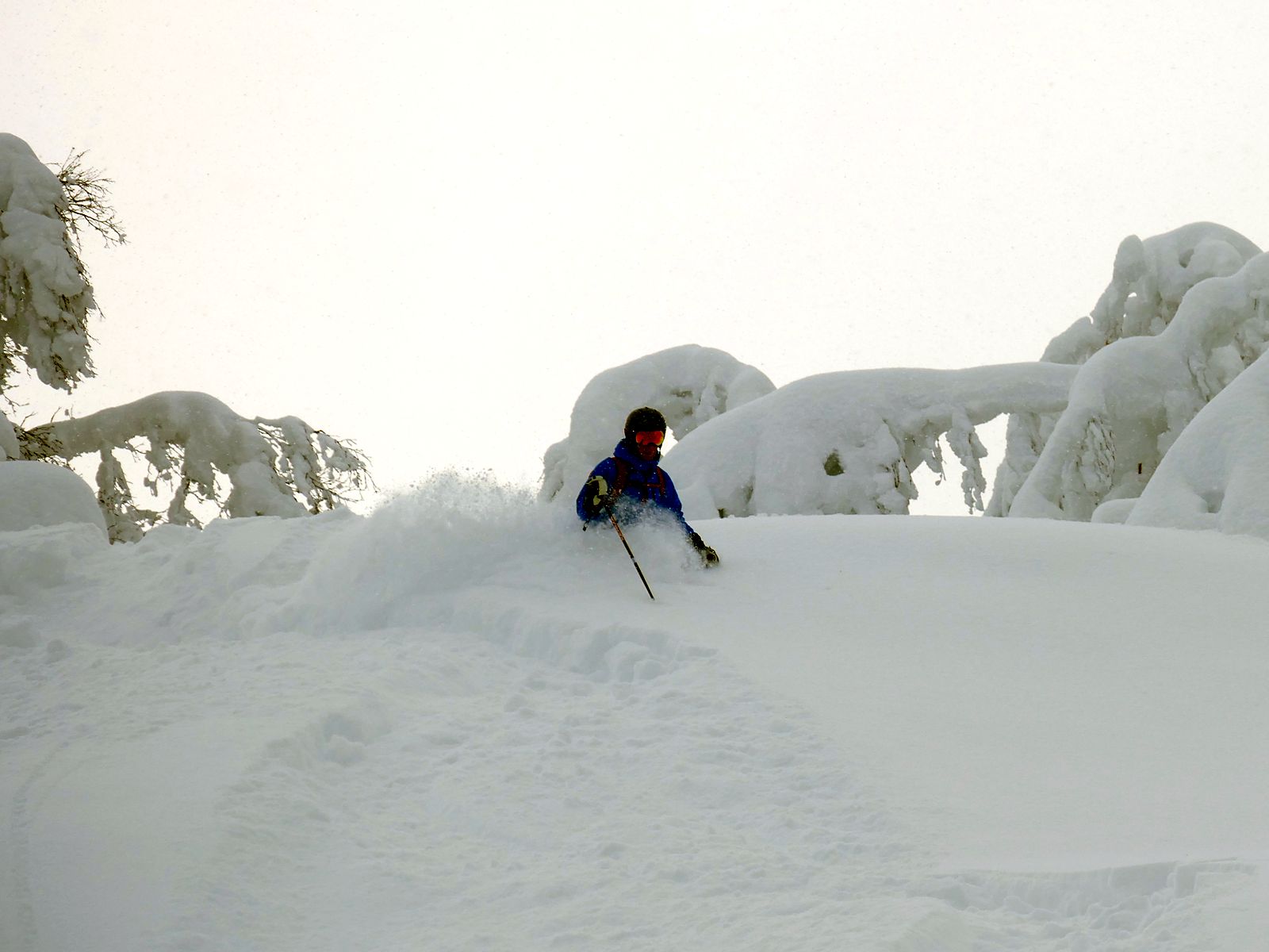 Powder skiing between snow-covered trees in the Valais