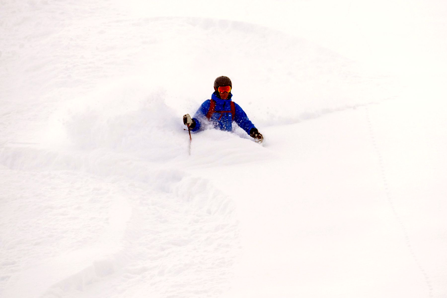 Powder skiing in soft light between the trees with Le Beau Ski
