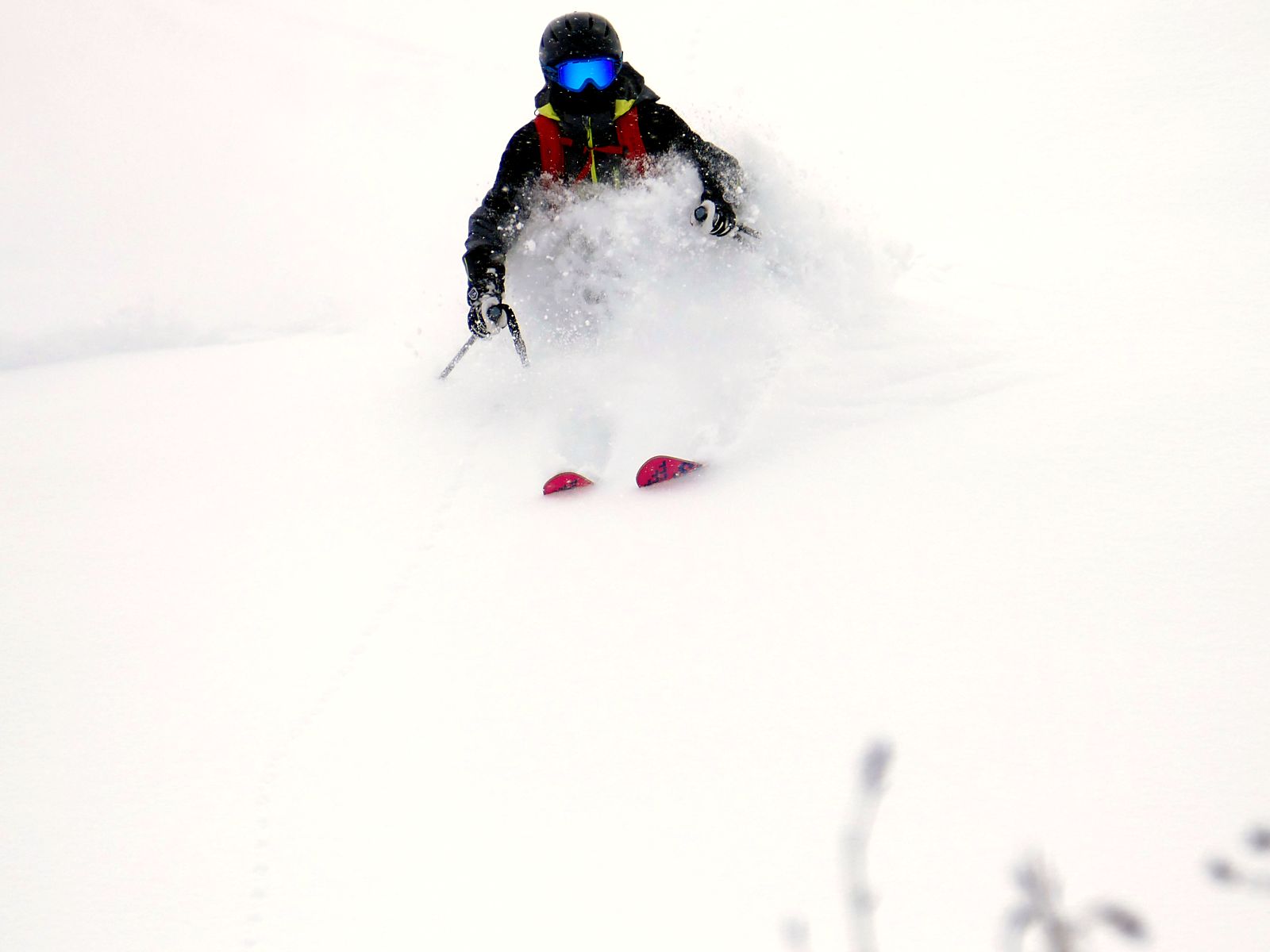 Fresh snow powder skiing between the trees with Le Beau Ski