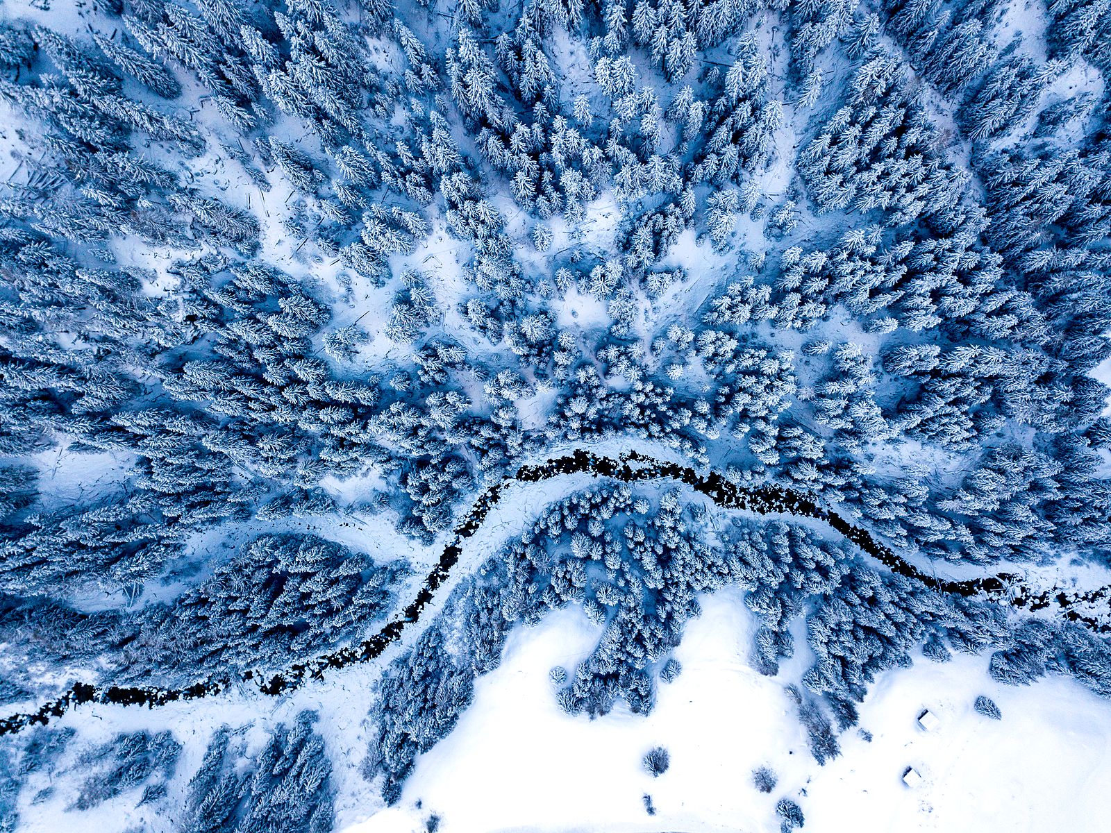 Aerial view of a snowy forest with fresh ski tracks