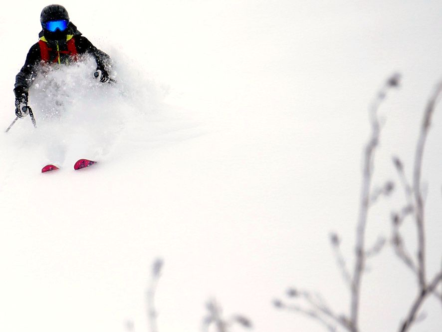 Deep powder skiing with fresh tracks on a Le Beau Ski trip