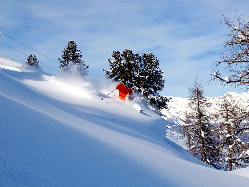 Off-piste skiing past larch trees with a mountain view