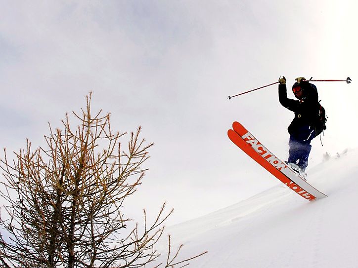 Skier dropping into powder beside a larch tree